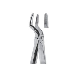 Tooth Extracting Forceps